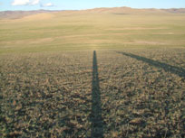 Long Shadows - countrybagging.com